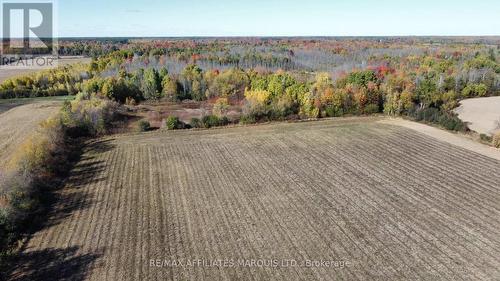 Approx 22 acres of tiled fields - 7788 County 21 Road, Augusta, ON - Outdoor With View