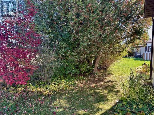9 Maple Drive, Greater Napanee (Greater Napanee), ON - Outdoor