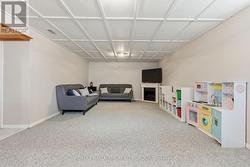 Finished lower level - 