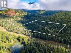 1041 Rosebud Lake Road  Nelway, BC V0G 1Z0