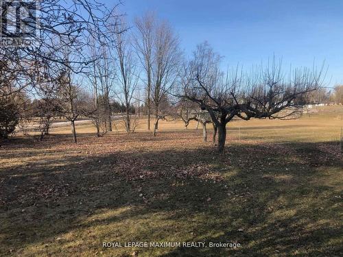 22 Diana Drive, King, ON - Outdoor With View