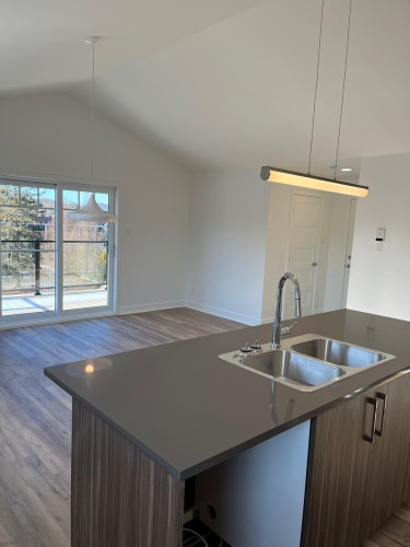 Kitchen - 7-610 Rue Cadieux, Mont-Tremblant, QC - Indoor Photo Showing Kitchen With Double Sink