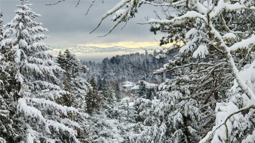 4673 Boulderwood Dr, Saanich, BC 