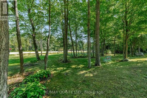 291 Colonial Drive, Quinte West (Murray Ward), ON - Outdoor