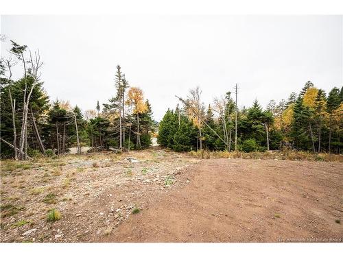 39 Chignecto Dr, Alma, NB 