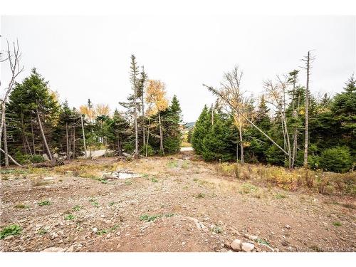 39 Chignecto Dr, Alma, NB 