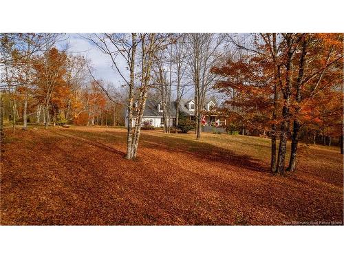 7777 Route 3, Dewolfe, NB 