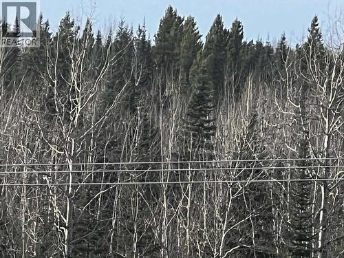 Hart Highway, Prince George, BC 
