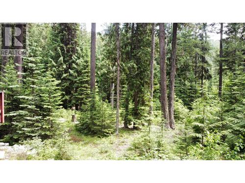 2832 Jewel Lake Road, Greenwood, BC - Outdoor