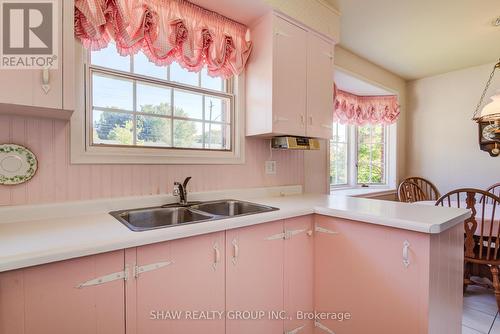 378 Stevenson Street N, Guelph, ON - Indoor Photo Showing Kitchen With Double Sink
