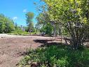 Gavel Road, Gavelton, NS 
