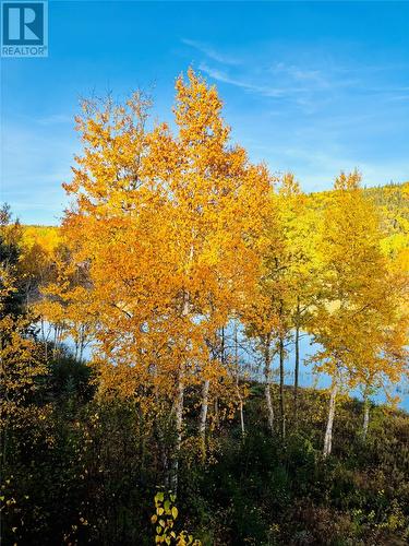 16A Lakeview Crescent, Roberts Arm, NL - Outdoor With View