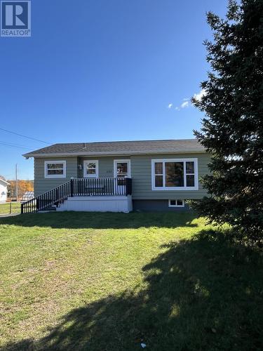 193 Country Road, Bay Roberts, NL - Outdoor With Deck Patio Veranda
