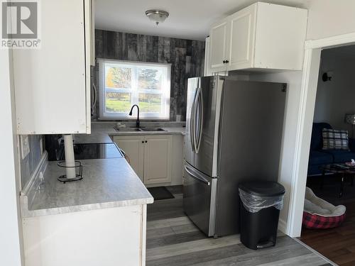 193 Country Road, Bay Roberts, NL - Indoor Photo Showing Kitchen With Double Sink
