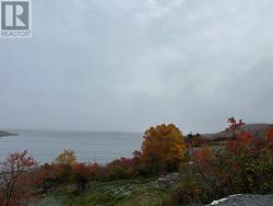 41-45 Motion Bay Road Extension  Petty Harbour- Maddox Cove, NL A0A 3H0