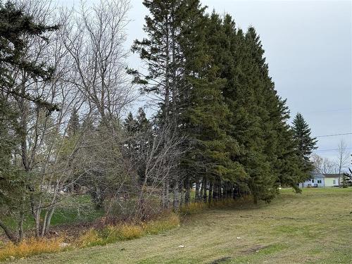 330 West Street, Swan River, MB - Outdoor With View