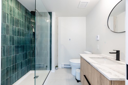 Salle de bains - 1114-5605 Av. Pierre-De Coubertin, Montréal (Mercier/Hochelaga-Maisonneuve), QC - Indoor Photo Showing Bathroom