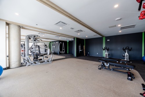 Salle d'exercice - 1114-5605 Av. Pierre-De Coubertin, Montréal (Mercier/Hochelaga-Maisonneuve), QC - Indoor Photo Showing Gym Room