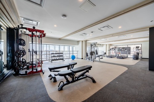 Salle d'exercice - 1114-5605 Av. Pierre-De Coubertin, Montréal (Mercier/Hochelaga-Maisonneuve), QC - Indoor Photo Showing Gym Room