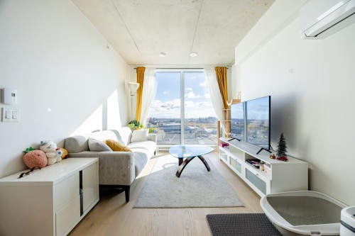 Salon - 1114-5605 Av. Pierre-De Coubertin, Montréal (Mercier/Hochelaga-Maisonneuve), QC - Indoor Photo Showing Living Room