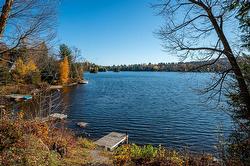 Bord de l'eau - 