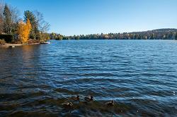 Vue sur l'eau - 