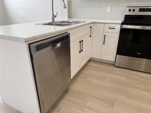2 587 Tremblay Street, Winnipeg, MB - Indoor Photo Showing Kitchen With Double Sink