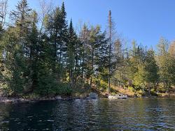 58 Rue du Vieux-Chêne  Saint-Sixte, QC J0X 3B0