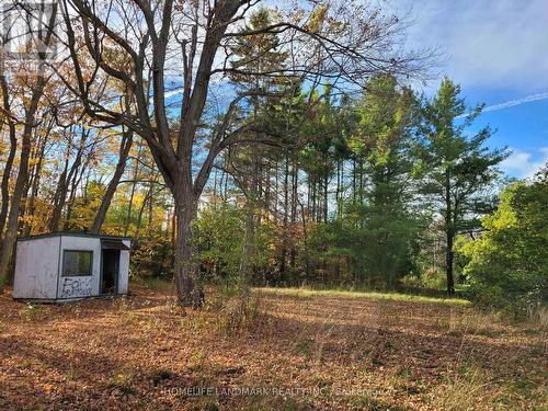 4209 Bath Road, Kingston, ON - Outdoor