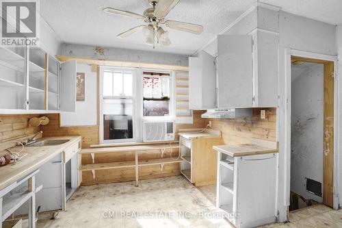 135 Madison Avenue S, Kitchener, ON - Indoor Photo Showing Kitchen