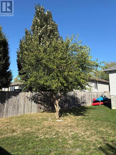 1143 Frederica Avenue, Windsor, ON - Outdoor