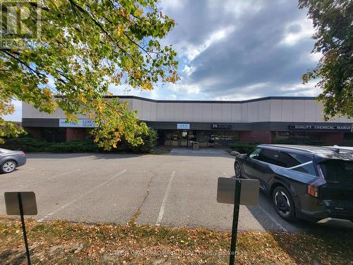 215 Dolomite Drive, Toronto, ON 