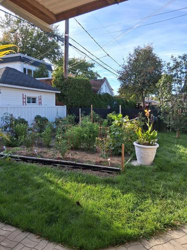 Jardin - 235 Rue De La Madone, Trois-Rivières, QC - Outdoor