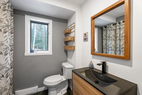 Salle d'eau - 4760 Ch. De La Doncaster, Sainte-Adèle, QC - Indoor Photo Showing Bathroom