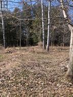 35A CLOVERLOFT COURT  Ottawa, ON K2S 1T3