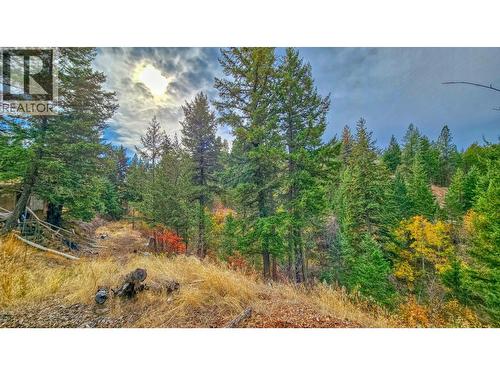 348 Lakewood Road, Vernon, BC - Outdoor With View