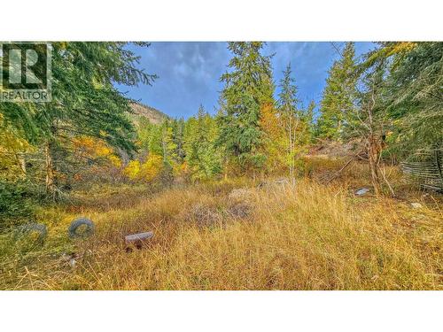 348 Lakewood Road, Vernon, BC - Outdoor With View