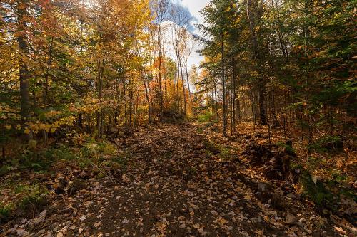 Terre/Terrain - Ch. Martin-Prévost, Sainte-Béatrix, QC - Outdoor With View