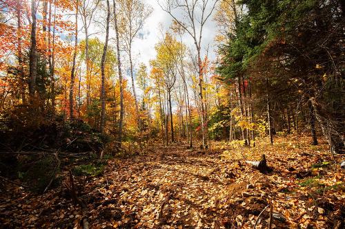 Terre/Terrain - Ch. Martin-Prévost, Sainte-Béatrix, QC - Outdoor With View