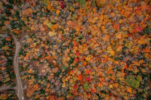 Terre/Terrain - Ch. Martin-Prévost, Sainte-Béatrix, QC - Outdoor