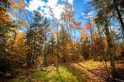 Terre/Terrain - Ch. Martin-Prévost, Sainte-Béatrix, QC - Outdoor With View