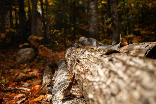 Terre/Terrain - Ch. Martin-Prévost, Sainte-Béatrix, QC - Outdoor