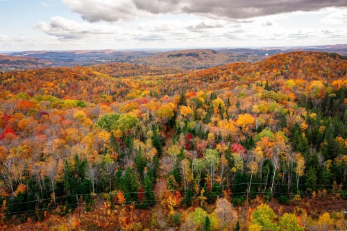 Terre/Terrain - Ch. Martin-Prévost, Sainte-Béatrix, QC - Outdoor With View