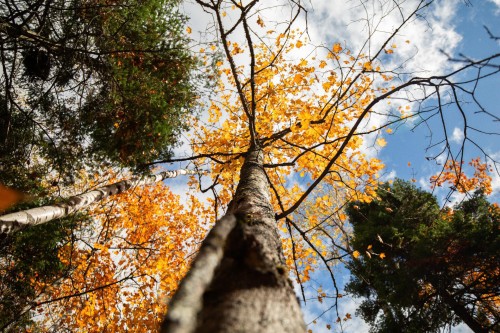 Terre/Terrain - Ch. Martin-Prévost, Sainte-Béatrix, QC - Outdoor