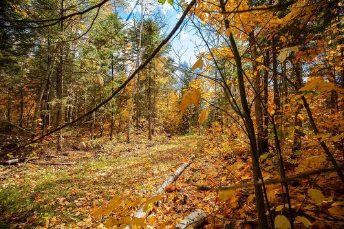 Terre/Terrain - Ch. Martin-Prévost, Sainte-Béatrix, QC -  With View