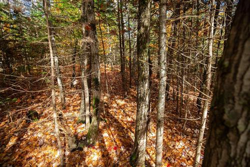Terre/Terrain - Ch. Martin-Prévost, Sainte-Béatrix, QC - Outdoor With View