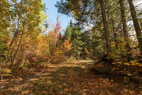 Terre/Terrain - Ch. Martin-Prévost, Sainte-Béatrix, QC - Outdoor With View