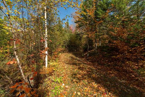 Terre/Terrain - Ch. Martin-Prévost, Sainte-Béatrix, QC - Outdoor With View