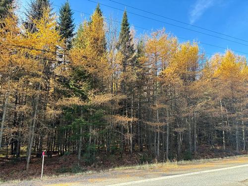 Terre/Terrain - Route Du Petit-Moulin, Saint-Bruno-De-Kamouraska, QC 