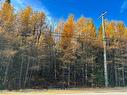 Terre/Terrain - Route Du Petit-Moulin, Saint-Bruno-De-Kamouraska, QC 